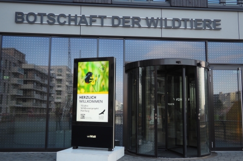 Wall - Toits végétalisés - Hambourg - Biodiversité