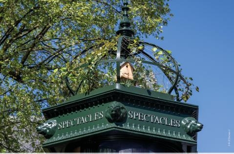 colonne jcdecaux végétalisée biodiversité paris