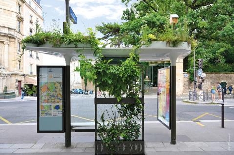 abribus jcdecaux végétalisé biodiversité paris