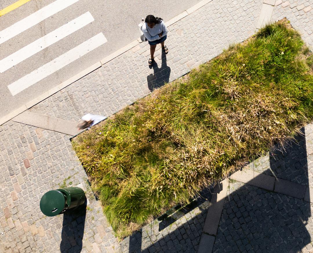 AFA Decaux - Frederiksberg - Begrønning