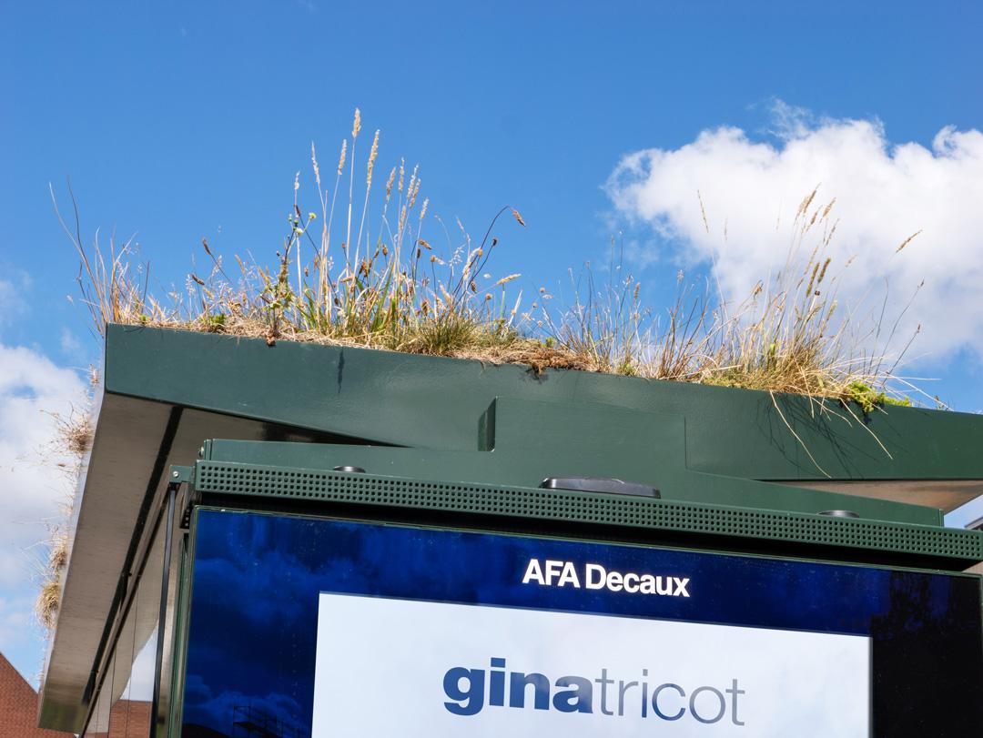 AFA Decaux - Frederiksberg - Begrønning