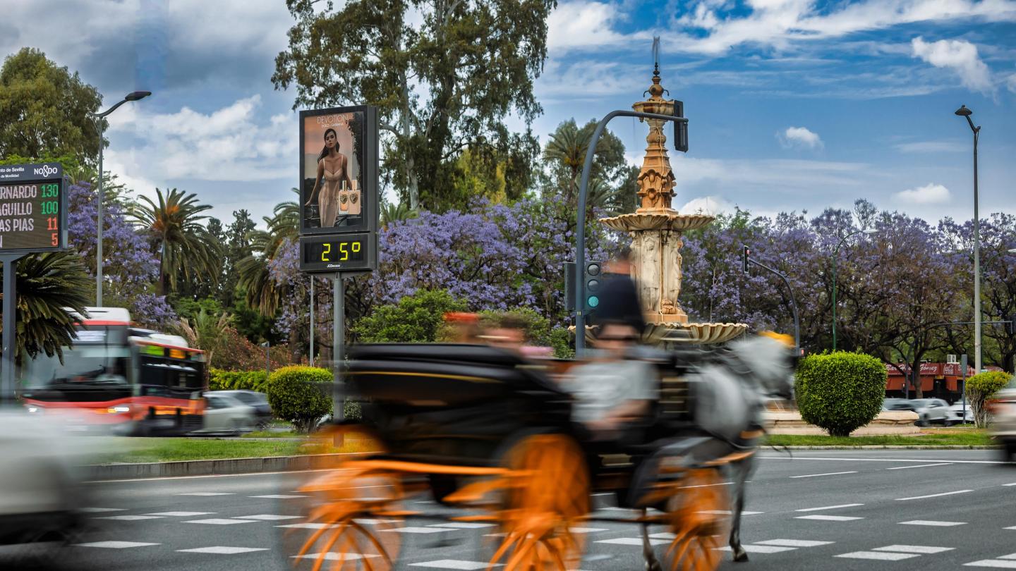 Campaña D&G en Sevilla