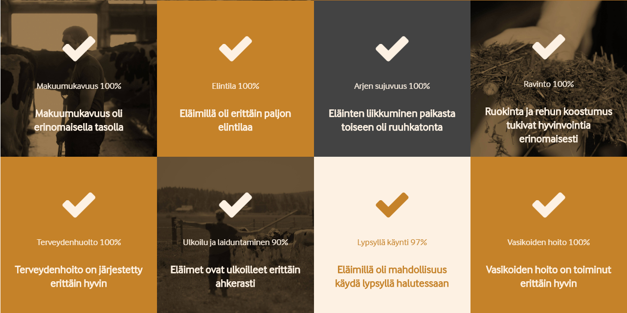 Tikan tila arla maito data ruudukko