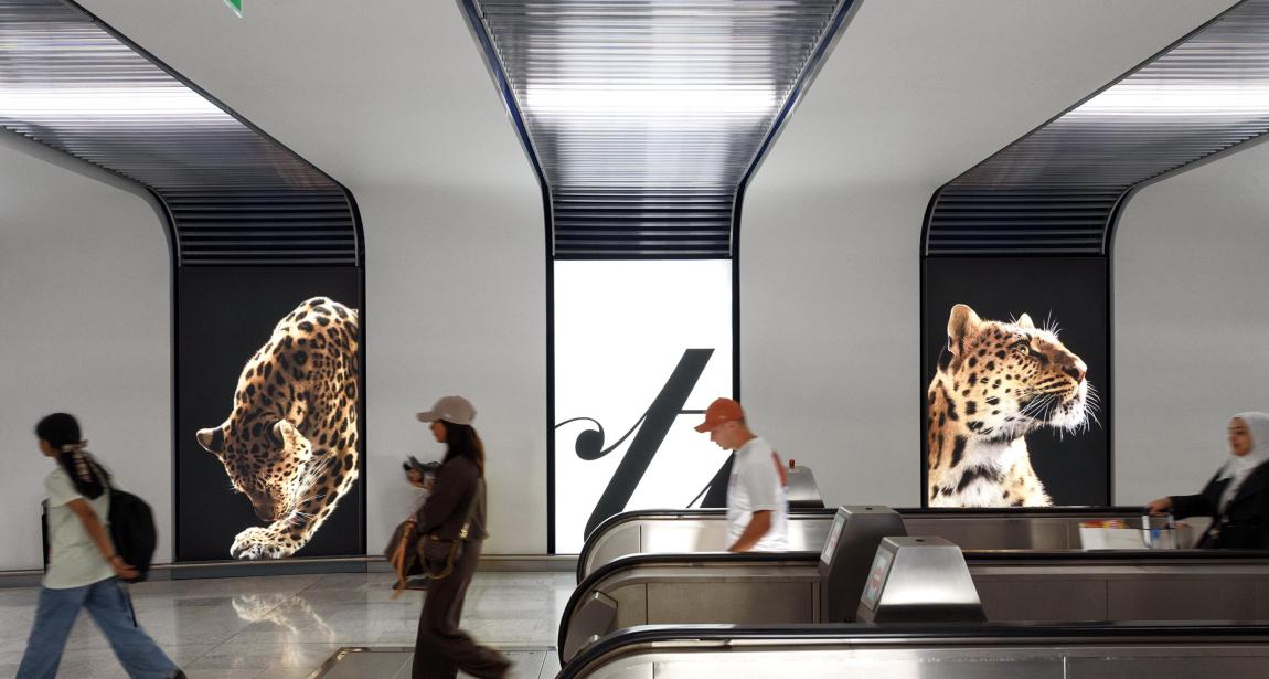 Campagne d'affichage publicitaire pour Cartier sur des écrans JCDecaux