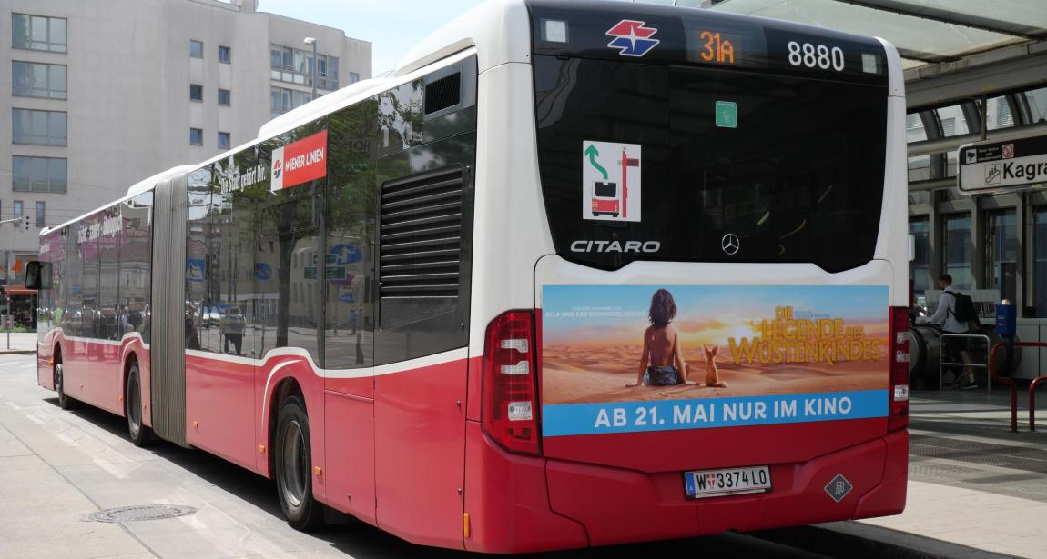 Transport Media Constantin