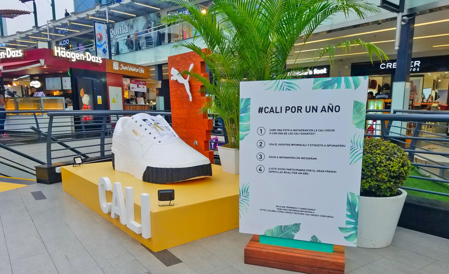 Las zapatillas Cali de Puma se impusieron en el C.C Larcomar | JCDecaux  Latam