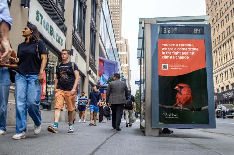 National Audubon Society Advertising on JCDecaux NYC Bus Shelter for Climate Week NYC by Climate Group