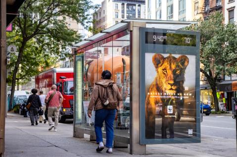 World Wildlife Fund WWF Advertising on JCDecaux NYC Bus Shelter for Climate Week NYC by Climate Group