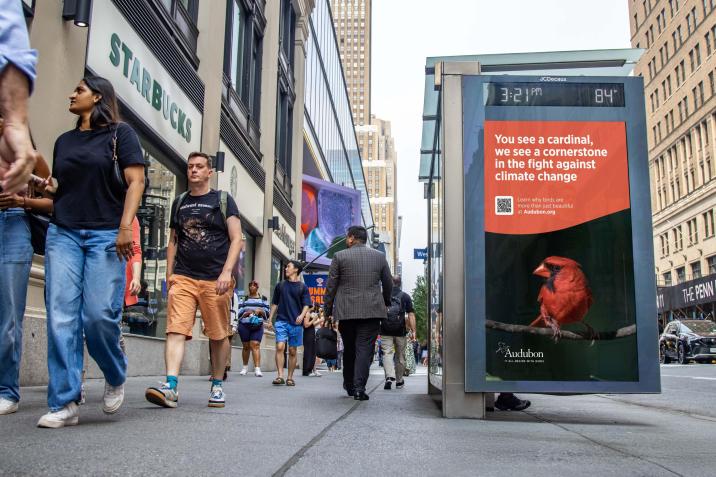 National Audubon Society Advertising on JCDecaux NYC Bus Shelter for Climate Week NYC by Climate Group